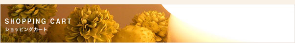 ����åԥ󥰥�����